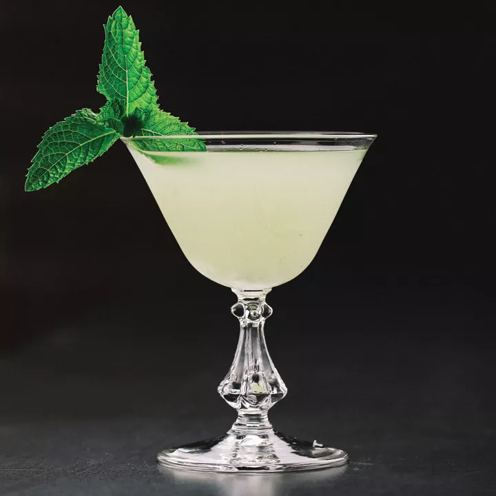 Southside Cocktail