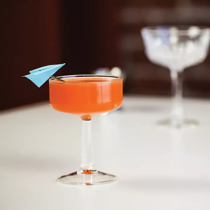 Paper Plane
